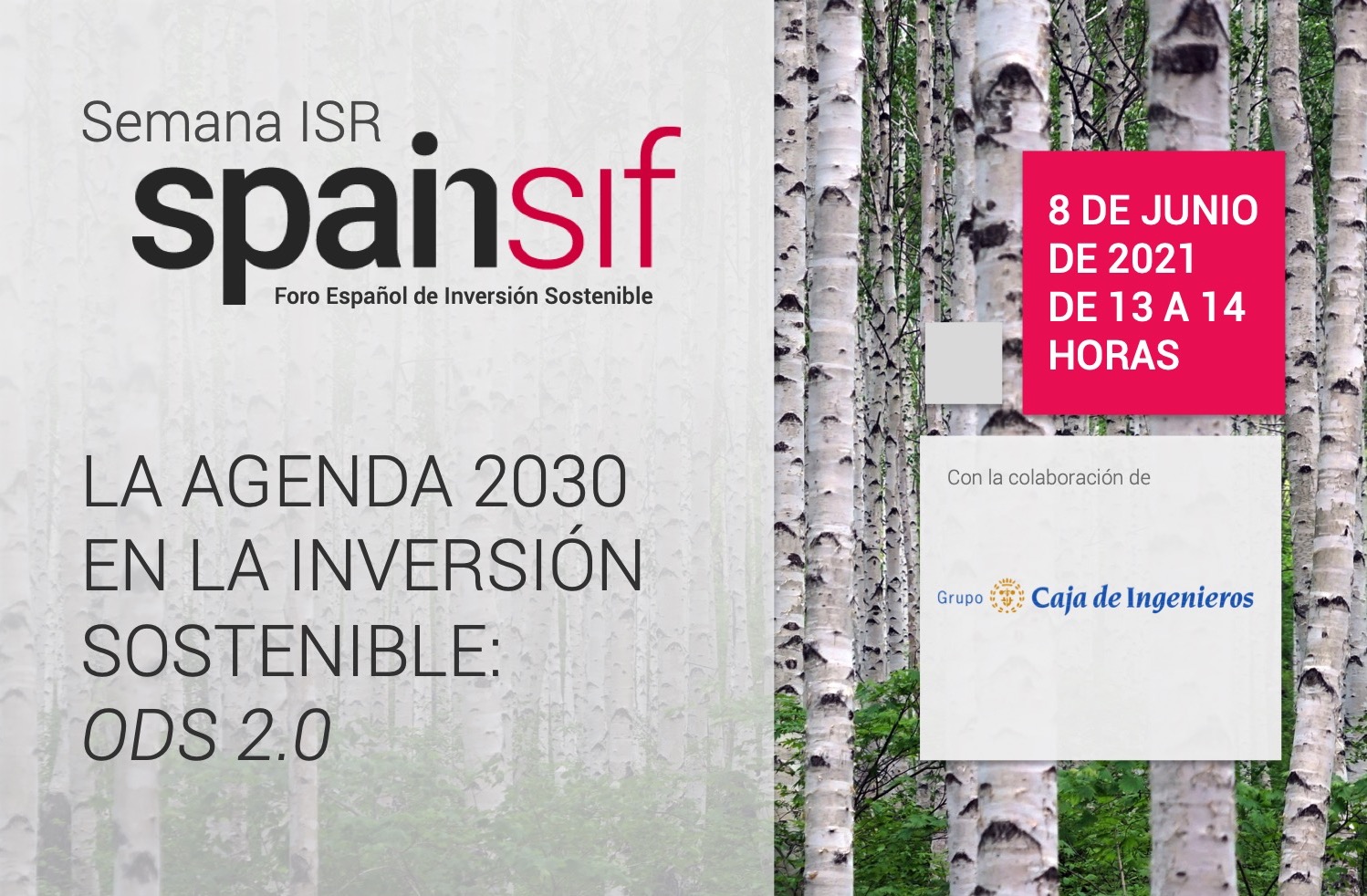 Semana Isr La Agenda 30 En La Inversion Sostenible Ods 2 0 Asociacion De Directivos De Sostenibilidad Asg