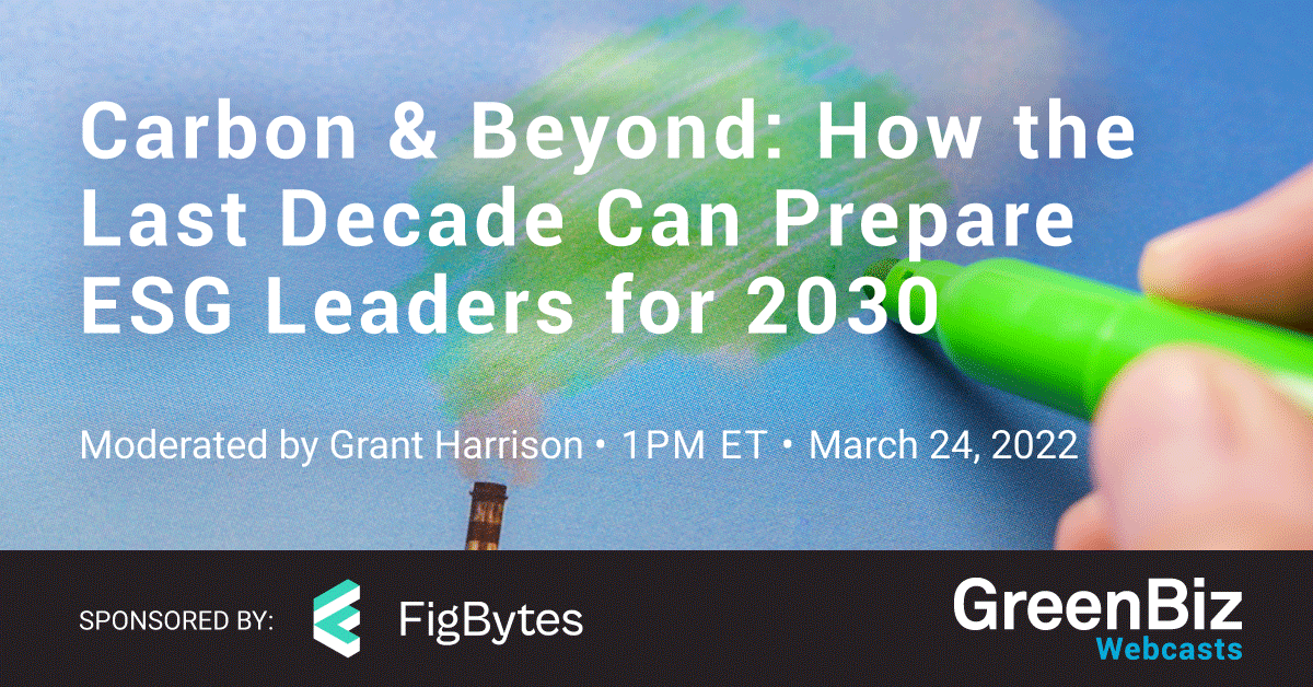 Carbon & Beyond: How the Last Decade Can Prepare ESG Leaders for 2030