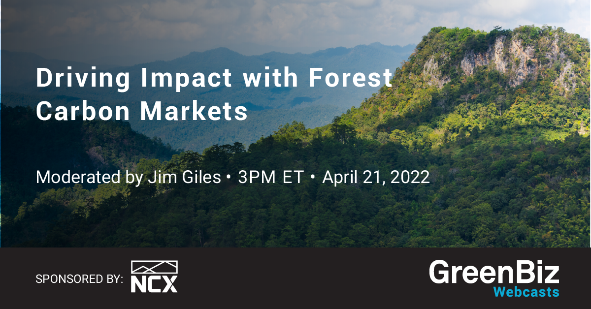 Driving Impact with Forest Carbon Markets