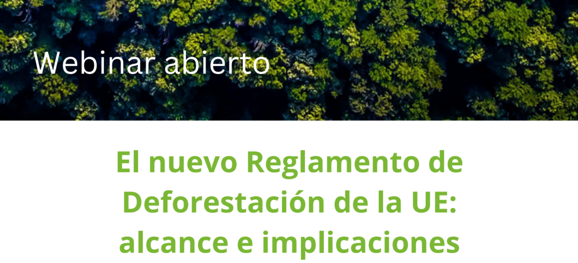 El nuevo Reglamento de Deforestación de la UE: alcance e implicaciones