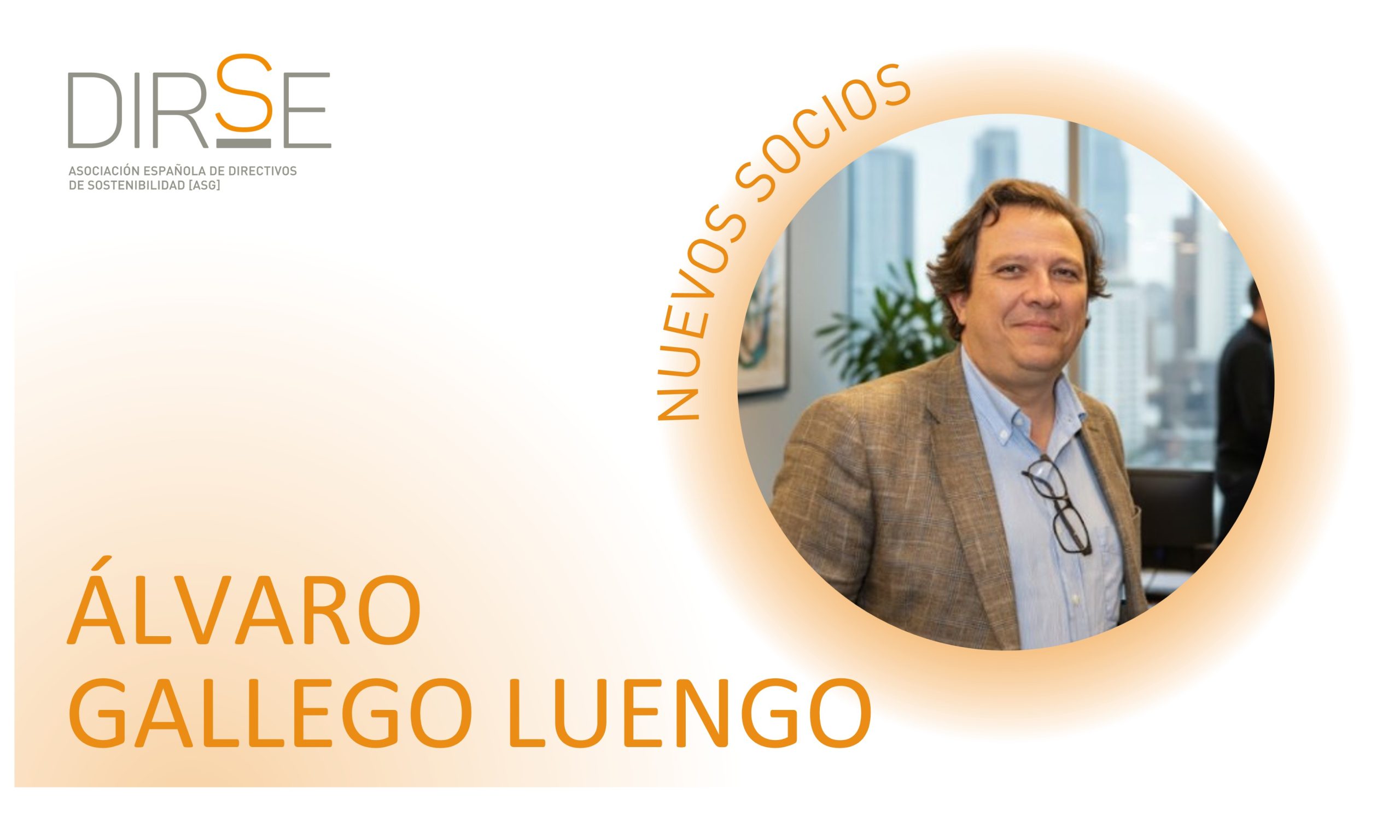 Álvaro Gallego Luengo - web