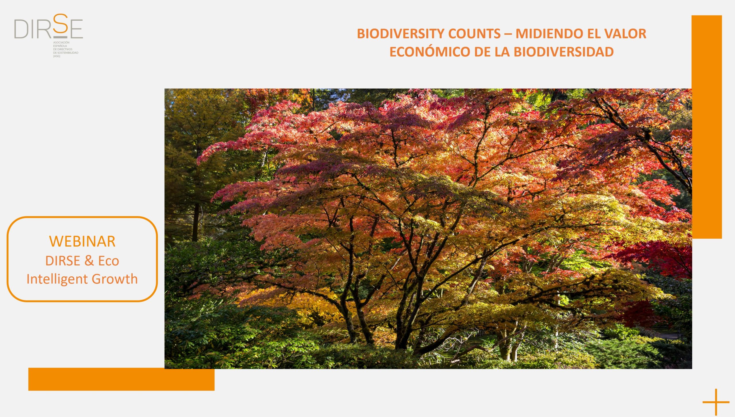 Webinar biodiversidad